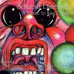 [중고] V.A. / Schizoid Dimension - A Tribute To King Crimson (수입)