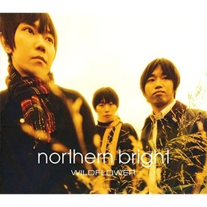 [중고] Northern Bright / Wildflower (일본수입/Single/dfcz1012)