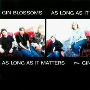 [중고] Gin Blossoms / As Long As It Matters (일본수입/SIngle)