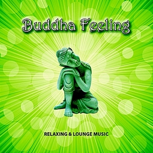 [중고] V.A. / Buddha Feeling: Relaxing &amp; Lounge Music (2CD/Digipack)