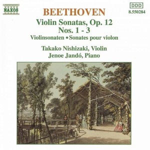 [중고] Takako Nishizaki, Jeno Jando / Beethoven : Violin Sonatas, Op.12, Nos.1-3 (수입/8550284)