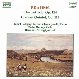 [중고] Danubius Quartet / Brahms : Clarinet Trio &amp; Clarinet Quintet (수입/8550391)