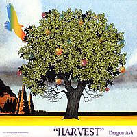 [중고] Dragon Ash (드래곤 애쉬) / Harvest (홍보용/drmcd1998)