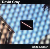 [중고] David Gray / White Ladder (수입)
