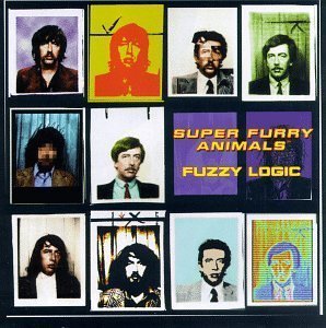 [중고] Super Furry Animals / Fuzzy Logic (수입)