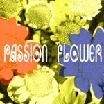 T-Square / Passion Flower (미개봉)