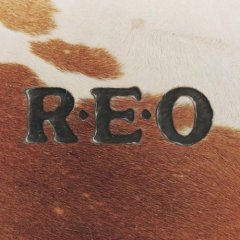[중고] REO Speedwagon / R.E.O. (수입)