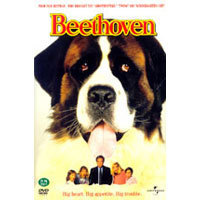 [중고] [DVD] 베토벤 - Beethoven