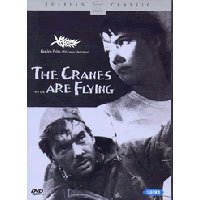 [DVD] 학이 난다 - Cranes Are Flying (미개봉)