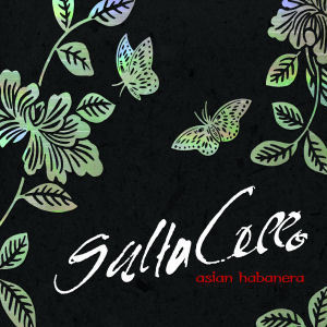 Saltacello / Asian Habanera (SONY SAMPLER CD포함/미개봉)