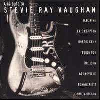 [중고] V.A. / Tribute To Stevie Ray Vaughan