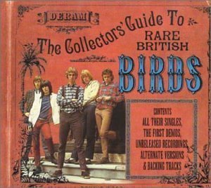 [중고] Birds / The Collector&#039;s Guide To Rare British (수입)