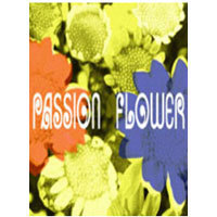 [중고] [DVD] T-Square - Live Passion Flower