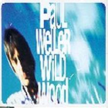Paul Weller / Wild Wood (수입/미개봉)