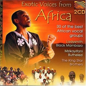 [중고] V.A. / Exotic Voices From Africa (아프리카의 노래들/2CD/수입)