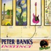 [중고] Peter Banks / Instinct (수입)