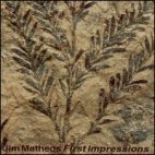 [중고] Jim Matheos / First Impressions (수입)