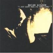 Brian Wilson /   I Just Wasn&#039;t Made For These Times (수입/미개봉)