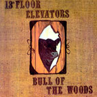[중고] 13th Floor Elevators / Bull Of The Woods (수입)