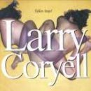 [중고] Larry Coryell / Fallen Angel (수입)