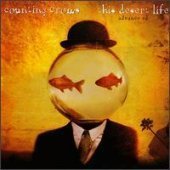 Counting Crows / This Desert Life (미개봉)