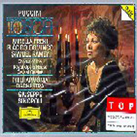[중고] Giuseppe Sinopoli / Puccini : Tosca (2CD/수입/4317752)