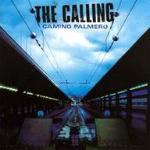 [중고] Calling / Camino Palmero (수입)