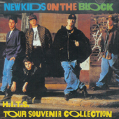 [중고] New Kids On The Block / H.I.T.S. Tour Souvenir Collection