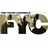 Fine Young Cannibals / The Platinum Collection (수입/미개봉)