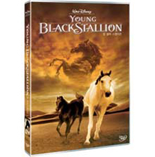 [DVD] Young Black Stallion - 스탤리온 (미개봉)