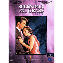 [DVD] Splendor In The Grass - 초원의 빛 (미개봉)