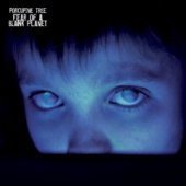 Porcupine Tree / Fear Of A Blank Planet (미개봉)