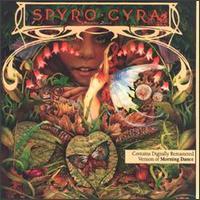 [중고] Spyro Gyra / Morning Dance