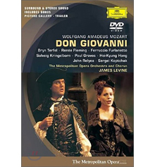 [DVD] James Levine / Mozart : Don Giovanni (2DVD/수입/미개봉/0734010)