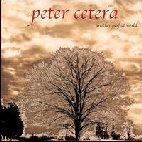 [중고] Peter Cetera / Another Perfect World (홍보용)