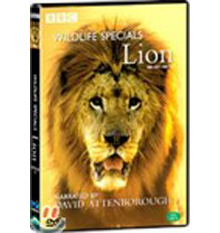 [중고] [DVD] Wildlife Specials : Lion - 사자 : 와일드라이프 스페셜
