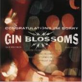 [중고] Gin Blossoms / Congratulations I&#039;m Sorry (수입)