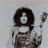 Marc Bolan &amp; T-Rex / The Essential Collection (수입/미개봉)