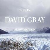 David Gray / Life In Slow Motion (수입/미개봉)