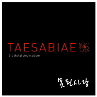 [중고] 태사비애 (殆死悲愛) (Tae Sa Bi Ae) / 3rd Digital Single (Digipack/Single)