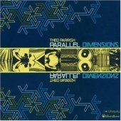 Theo Parrish / Parallel Dimensions (수입/미개봉)