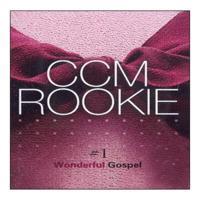씨씨엠루키 (CCM Rookie) / vol.1 - Wonderful Gospel (미개봉)