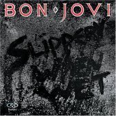 Bon Jovi / Slippery When Wet (DualDisc/수입/미개봉)