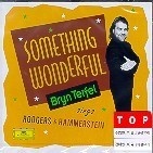 Bryn Terfel / Something Wonderful - Sings Rodgers &amp; Hammerstein (미개봉/dg4126)