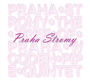 [중고] Praha Stromy / 프라하 스토미 (Praha Stromy) (2CD/Digipack/ekld0838)