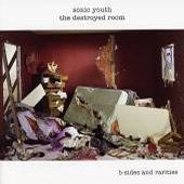 Sonic Youth / The Destroyed Room: B-Sides And Rarities (수입/미개봉)