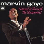 Marvin Gaye / I Heard It Through The Grapevine - In The Groove (수입/미개봉)