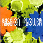 [중고] T-Square / Passion Flower