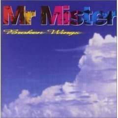 [중고] Mr. Mister / Broken Wings: Best Of Mister Mister
