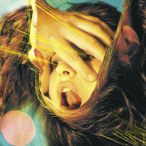 Flaming Lips / Embryonic (미개봉)